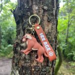 جاکلیدی طرح عصر یخبندان